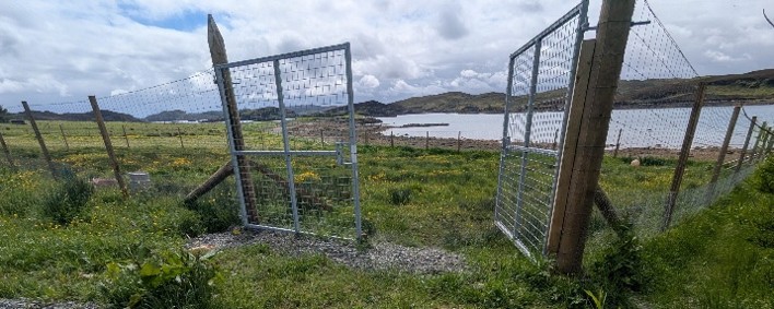 The secure 7ft-fenced private paddock at Spogan HQ, overlooking the sea on the Isle of Lewis